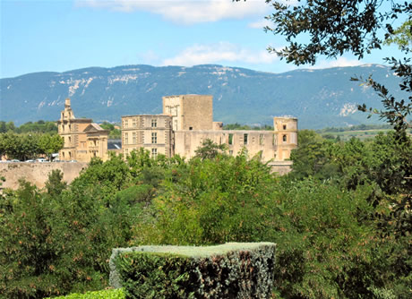 Castle of la Tour d'Aigues with the Luberon in background